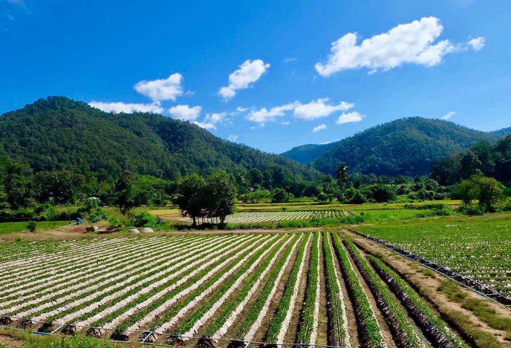 Villa Wongwan Farm Samoeng Exterior foto